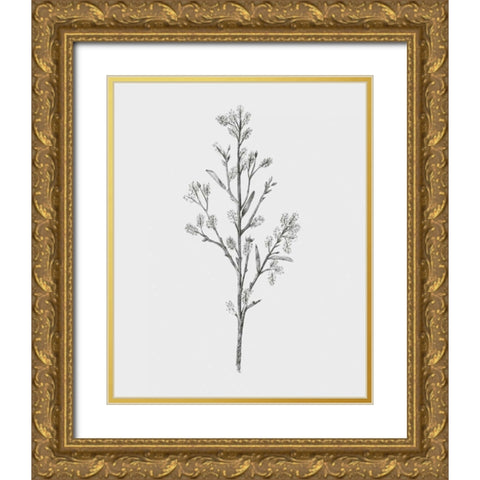 Wild Stem II Gold Ornate Wood Framed Art Print with Double Matting by Warren, Annie