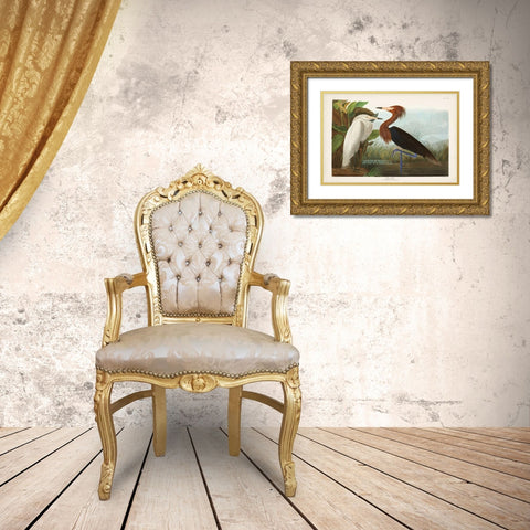 Pl 256 Purple Heron Gold Ornate Wood Framed Art Print with Double Matting by Audubon, John James
