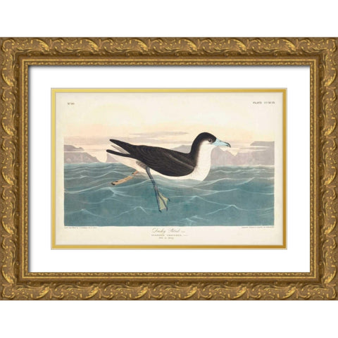 Pl 299 Dusky Petrel Gold Ornate Wood Framed Art Print with Double Matting by Audubon, John James