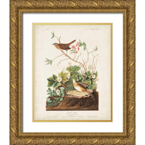 Pl 193 Lincoln Finch Gold Ornate Wood Framed Art Print with Double Matting by Audubon, John James