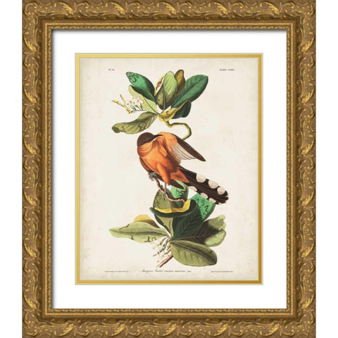 Pl 169 Mangrove Cuckoo Gold Ornate Wood Framed Art Print with Double Matting by Audubon, John James