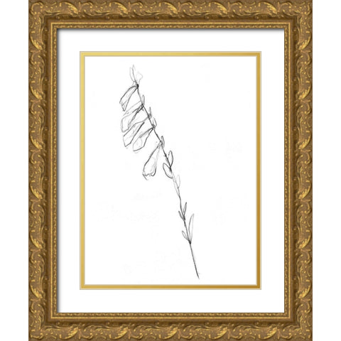 Stem Contour VI Gold Ornate Wood Framed Art Print with Double Matting by Goldberger, Jennifer