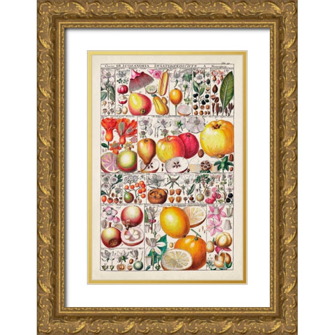 Fruit Chart Gold Ornate Wood Framed Art Print with Double Matting by Vision Studio