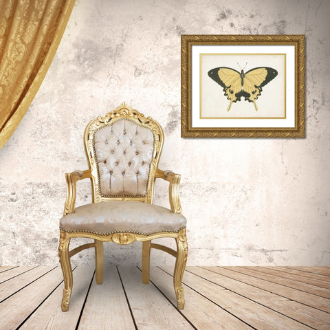 Beautiful Butterfly I Gold Ornate Wood Framed Art Print with Double Matting by Vision Studio