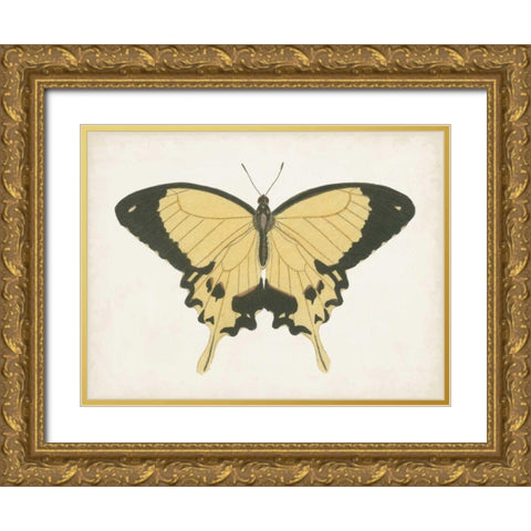 Beautiful Butterfly I Gold Ornate Wood Framed Art Print with Double Matting by Vision Studio