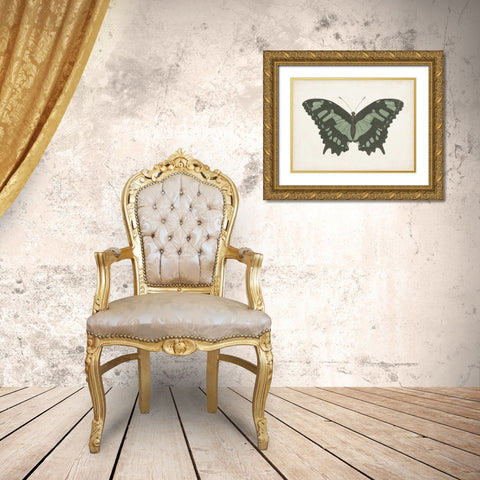 Beautiful Butterfly II Gold Ornate Wood Framed Art Print with Double Matting by Vision Studio