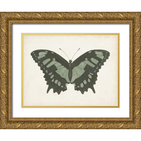 Beautiful Butterfly II Gold Ornate Wood Framed Art Print with Double Matting by Vision Studio