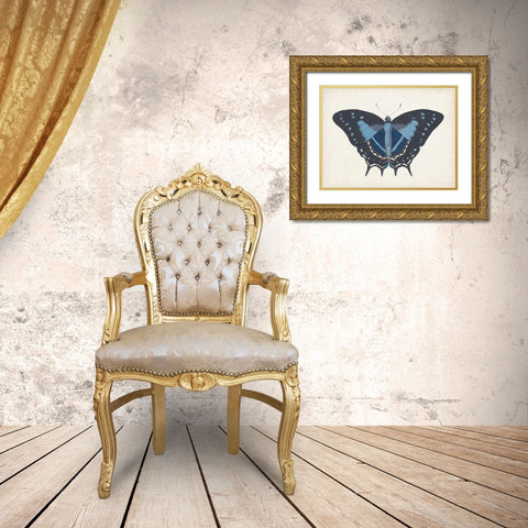 Beautiful Butterfly III Gold Ornate Wood Framed Art Print with Double Matting by Vision Studio