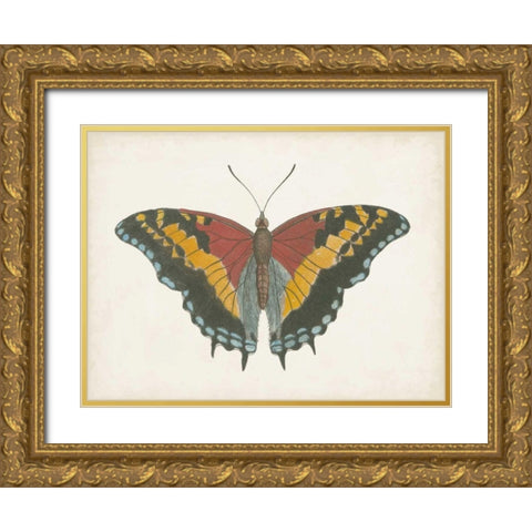 Beautiful Butterfly IV Gold Ornate Wood Framed Art Print with Double Matting by Vision Studio