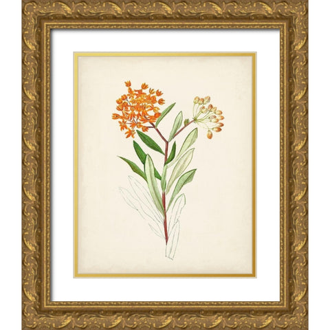Watercolor Botanical Sketches VI Gold Ornate Wood Framed Art Print with Double Matting by Unknown