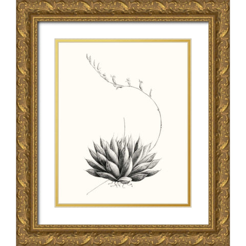 Graphic Succulents IV Gold Ornate Wood Framed Art Print with Double Matting by Vision Studio