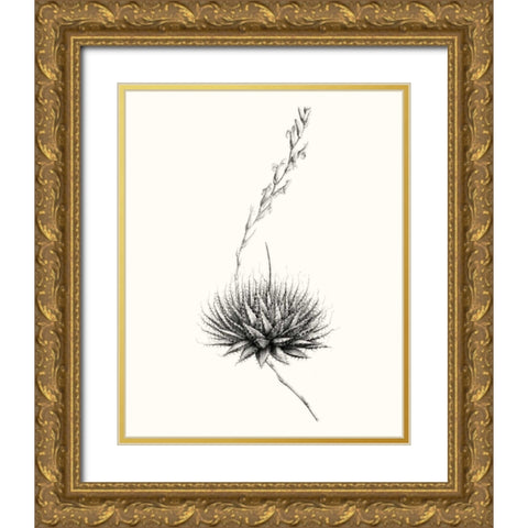 Graphic Succulents V Gold Ornate Wood Framed Art Print with Double Matting by Vision Studio