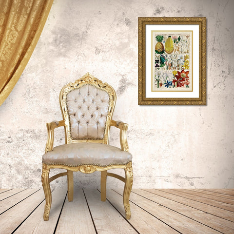 Pineapple Chart Gold Ornate Wood Framed Art Print with Double Matting by Unknown