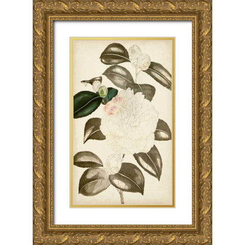 Silvery Botanicals II Gold Ornate Wood Framed Art Print with Double Matting by Vision Studio