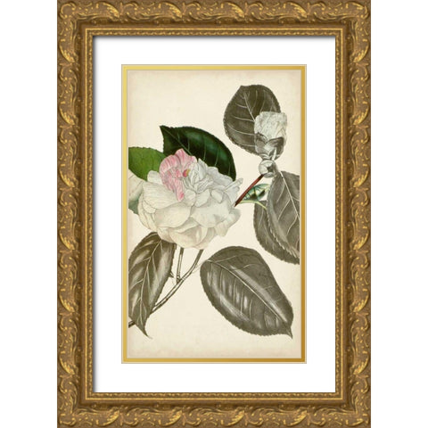 Silvery Botanicals III Gold Ornate Wood Framed Art Print with Double Matting by Vision Studio