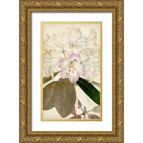 Silvery Botanicals IV Gold Ornate Wood Framed Art Print with Double Matting by Vision Studio