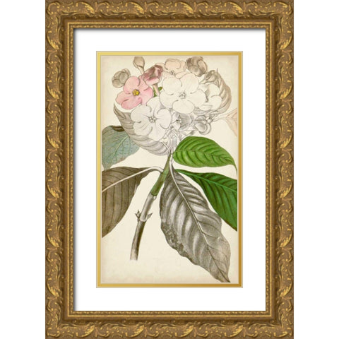 Silvery Botanicals V Gold Ornate Wood Framed Art Print with Double Matting by Vision Studio