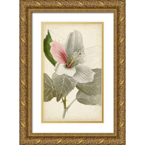 Silvery Botanicals VI Gold Ornate Wood Framed Art Print with Double Matting by Vision Studio