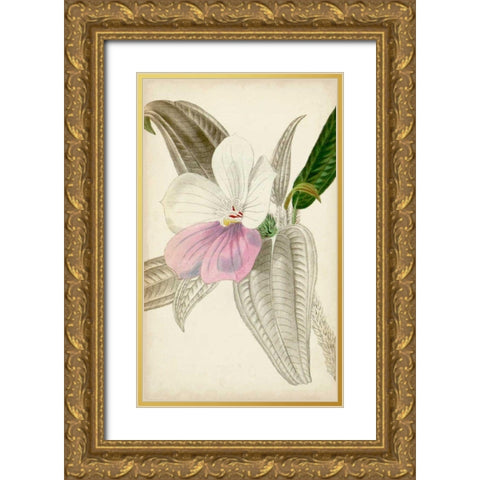 Silvery Botanicals VII Gold Ornate Wood Framed Art Print with Double Matting by Vision Studio
