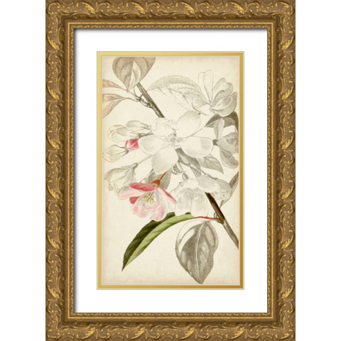 Silvery Botanicals VIII Gold Ornate Wood Framed Art Print with Double Matting by Vision Studio