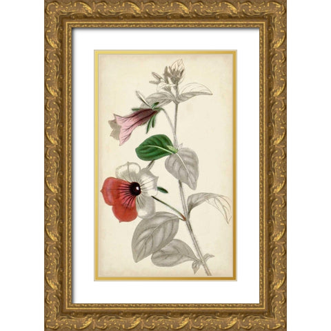 Silvery Botanicals X Gold Ornate Wood Framed Art Print with Double Matting by Vision Studio