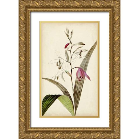 Silvery Botanicals XI Gold Ornate Wood Framed Art Print with Double Matting by Vision Studio