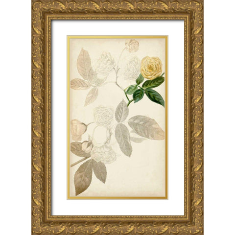 Silvery Botanicals XII Gold Ornate Wood Framed Art Print with Double Matting by Vision Studio