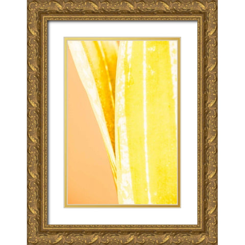 Hot House I Gold Ornate Wood Framed Art Print with Double Matting by Stramel, Renee W.