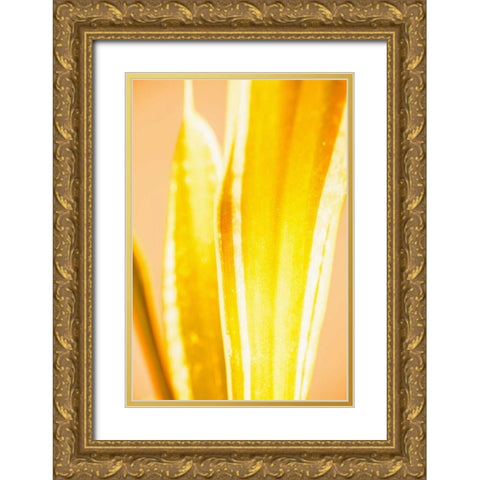 Hot House II Gold Ornate Wood Framed Art Print with Double Matting by Stramel, Renee W.