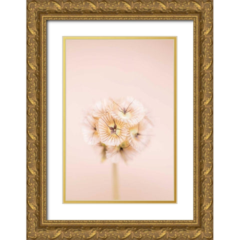 Bleach Blonde II Gold Ornate Wood Framed Art Print with Double Matting by Stramel, Renee W.