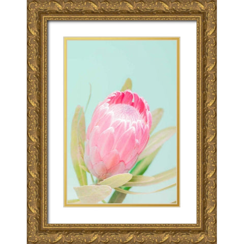 Sun Drenched Blossom I Gold Ornate Wood Framed Art Print with Double Matting by Stramel, Renee W.