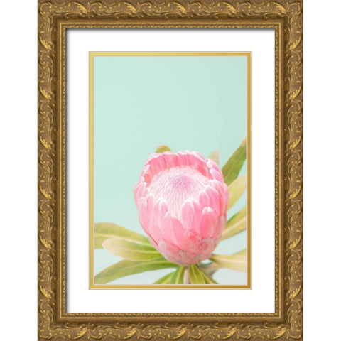 Sun Drenched Blossom II Gold Ornate Wood Framed Art Print with Double Matting by Stramel, Renee W.