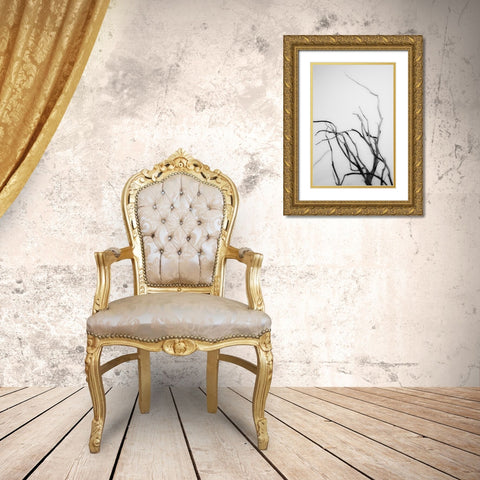 Searching Branches II Gold Ornate Wood Framed Art Print with Double Matting by Stramel, Renee W.