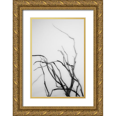 Searching Branches II Gold Ornate Wood Framed Art Print with Double Matting by Stramel, Renee W.