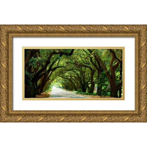 Canopy Road Panorama I Gold Ornate Wood Framed Art Print with Double Matting by McLoughlin, James