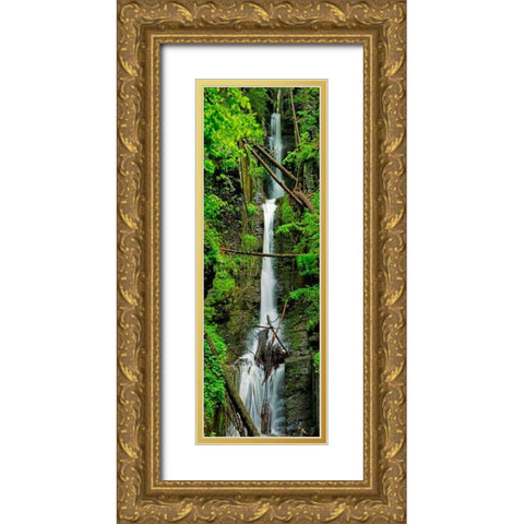Vertical Falls II Gold Ornate Wood Framed Art Print with Double Matting by McLoughlin, James