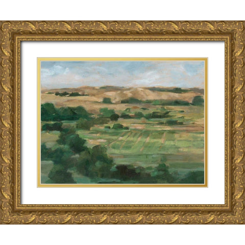 Valley Fields I Gold Ornate Wood Framed Art Print with Double Matting by Harper, Ethan