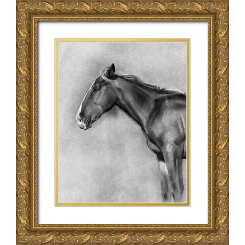Charcoal Equine Portrait II Gold Ornate Wood Framed Art Print with Double Matting by Caroline, Emma