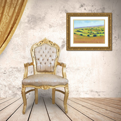 Patchwork Vista I Gold Ornate Wood Framed Art Print with Double Matting by OToole, Tim