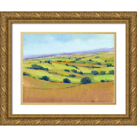 Patchwork Vista I Gold Ornate Wood Framed Art Print with Double Matting by OToole, Tim