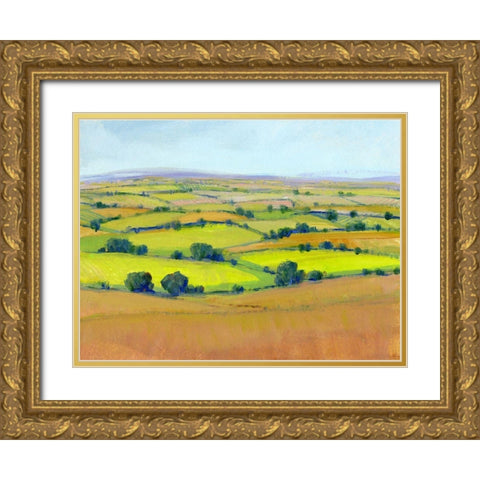 Patchwork Vista II Gold Ornate Wood Framed Art Print with Double Matting by OToole, Tim