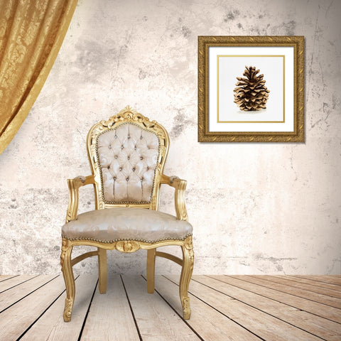 Conifer Cone I Gold Ornate Wood Framed Art Print with Double Matting by Caroline, Emma