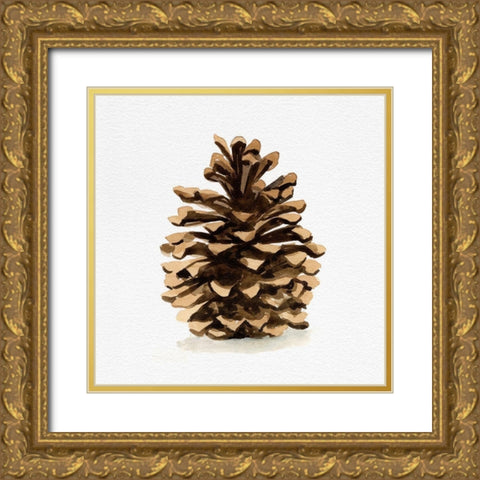 Conifer Cone I Gold Ornate Wood Framed Art Print with Double Matting by Caroline, Emma