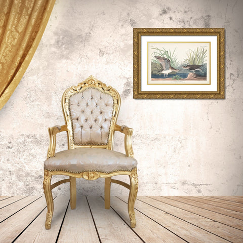 Pl. 289 Solitary Sandpiper Gold Ornate Wood Framed Art Print with Double Matting by Audubon, John James