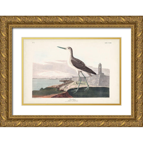 Pl. 269 Greenshank Gold Ornate Wood Framed Art Print with Double Matting by Audubon, John James