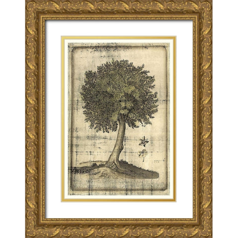 Fruitful Realm I Gold Ornate Wood Framed Art Print with Double Matting by Vision Studio