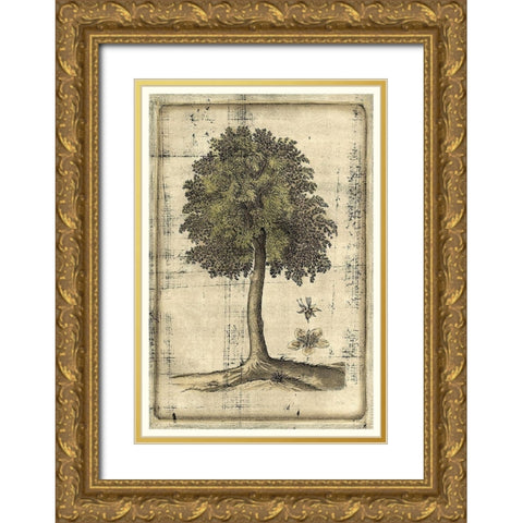 Fruitful Realm II Gold Ornate Wood Framed Art Print with Double Matting by Vision Studio