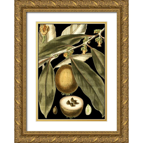 Tranquil Tropical Leaves IV Gold Ornate Wood Framed Art Print with Double Matting by Vision Studio