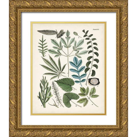 Fanciful Ferns VII Gold Ornate Wood Framed Art Print with Double Matting by Unknown