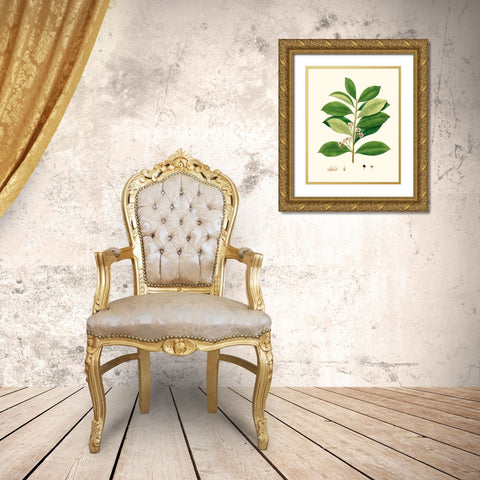 Spring Green Foliage III Gold Ornate Wood Framed Art Print with Double Matting by Unknown